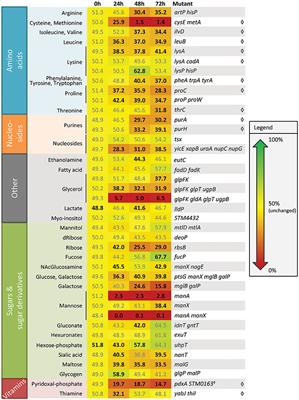 Few Differences in Metabolic Network Use Found Between Salmonella enterica Colonization of Plants and Typhoidal Mice